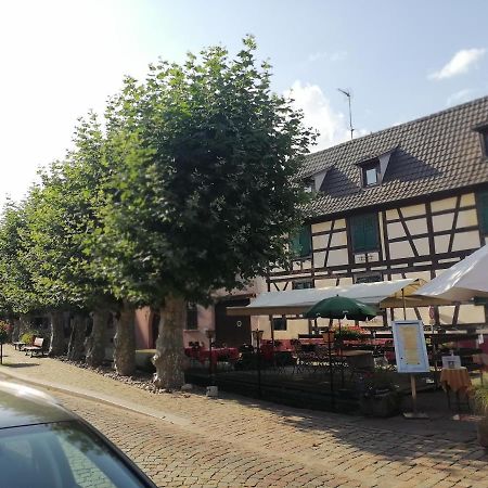 Gites Aux Fines Bulles D'Alsace Spa Privatif En Supplement Bergheim Kültér fotó