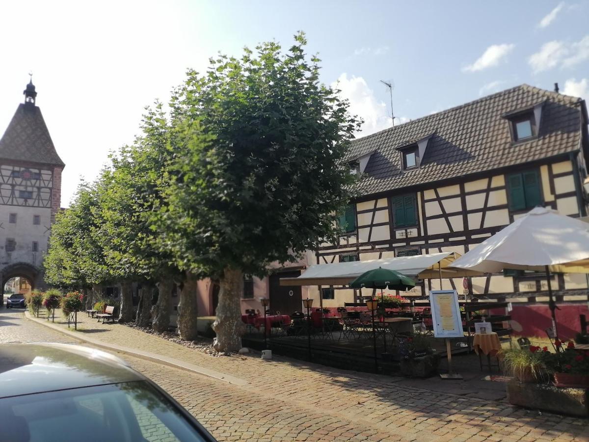 Gites Aux Fines Bulles D'Alsace Spa Privatif En Supplement Bergheim Kültér fotó